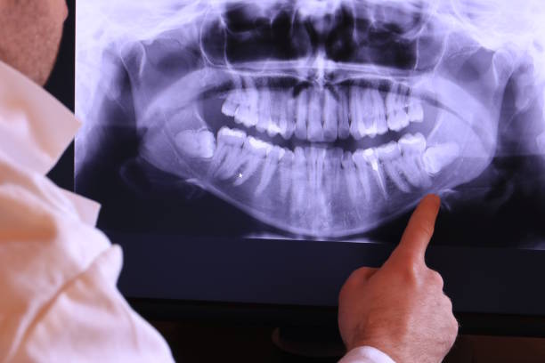 Best Orthodontic Emergency Dentist in Roanoke, IL